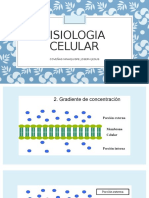 FISIOLOGIA-CELULAR-EUCLIDES