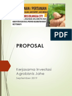 Kerjasama Investasi Agrobisnis Jahe