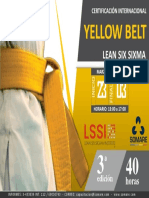 Yellow belt.pdf