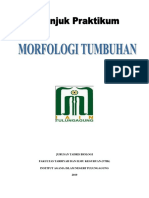 Panduan KKL Morfologi Tumbuhan