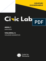 Grupuri Vulnerabile -  Violență domestică /  Raport Civic Labs /  An 1 / Volum 1 / 2019