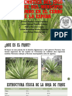 EXPOSICIÓN (Problemática Del Jugo de Fique Del Municipio Del Tambo en El Cerro de La Espada) (I. 8.0)