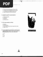 Escala Adción Especial Mad PDF | PDF