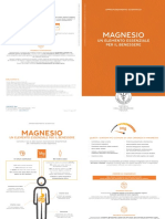 Approfondimento Magnesio 09 2017