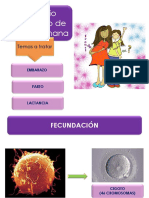 Embarazo Parto Lactancia PDF