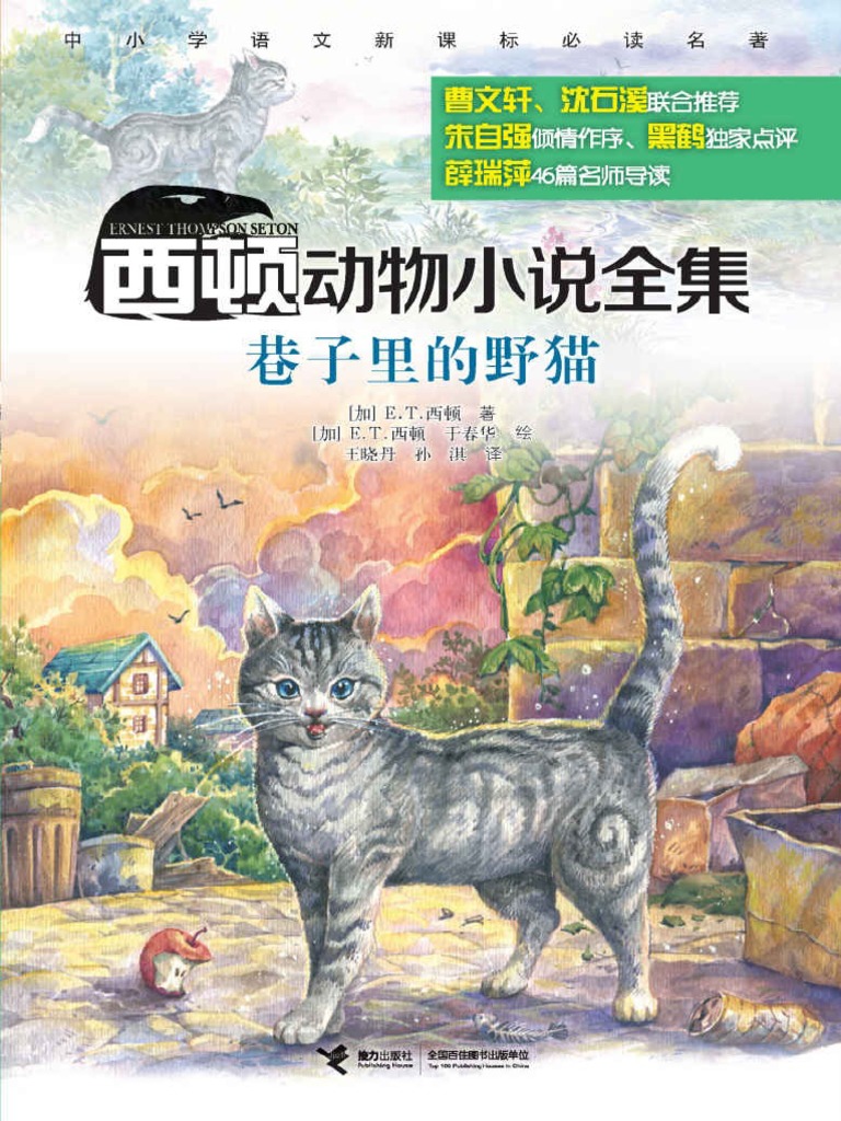 巷子里的野猫西顿动物小说全集
