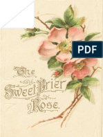 1909, Sweet Brier Rose