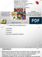 Biotecnologia Alimentar