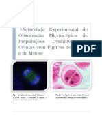 Observação Microscópica de Células Vegetais em Mitose e Meiose