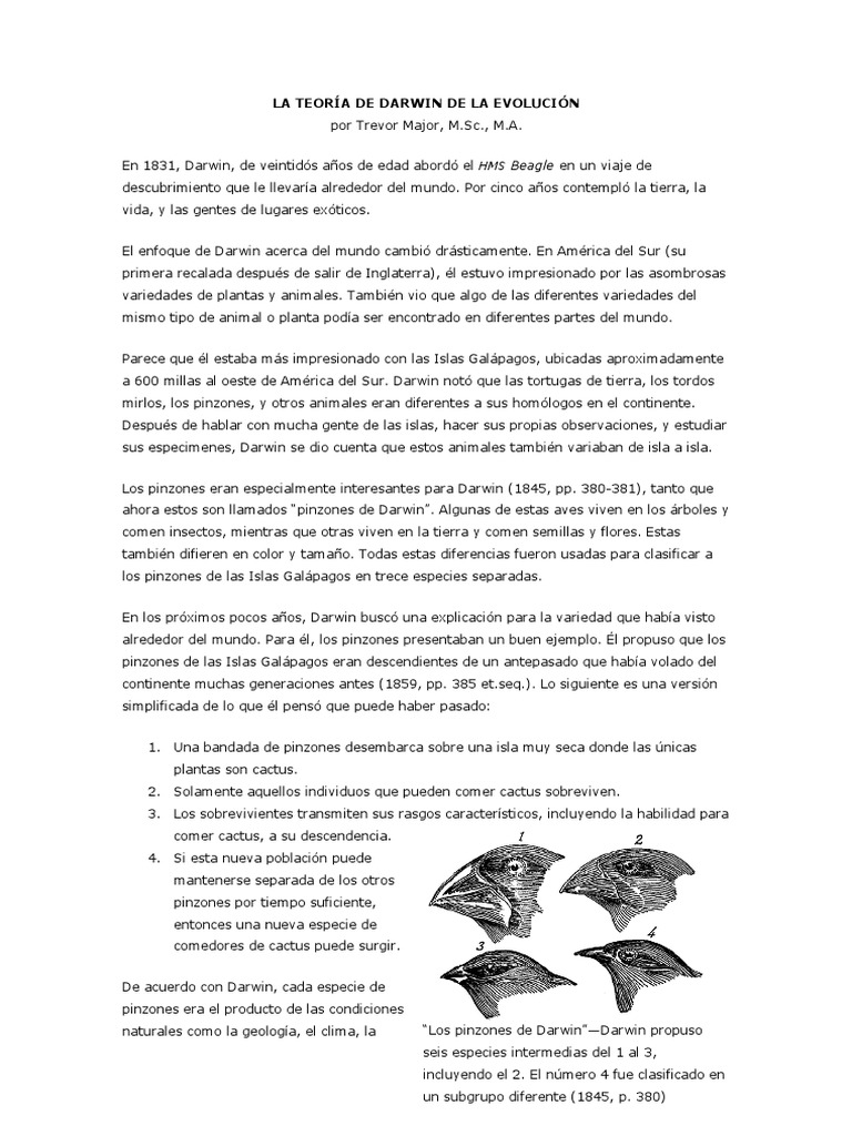Darwin Pinzones | PDF | Charles Darwin | Islas Galápagos