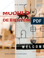 Módulo Introductorio PDF