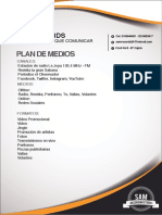 Como Hacer Un Plan de Medios PDF