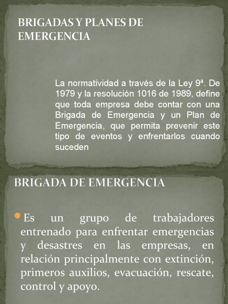 Brigadas Y Planes De Emergencia Pdf Primeros Auxilios Planificación