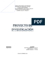 Proyecto de Investigacion - 17-02-2020