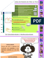 3 - Origem-Multicelularidade