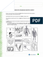Articles-22964 Recurso PDF
