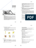 Anatomia Módulo-1 PDF