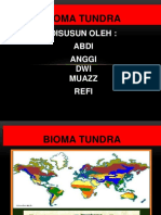 BIOMA TUNDRA.pptx