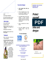 Dengue_brochure.pdf