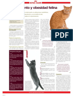 Obesidad Felina PDF