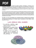 Areas Del Saber