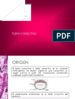 Tejido Conjuntivo PDF