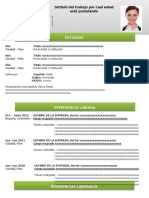 24-hoja-de-vida-focus-verde.docx