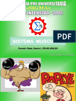 Sem 4 Sist. Muscular