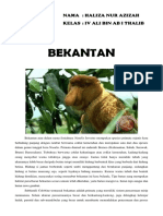 BEKANTAN