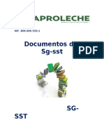 documentos del SG-SST.docx