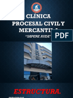 Clinica Procesal Civil y Mercantil Ii