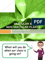 Vascular and Non Vascular Plants