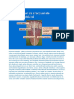 Sindromul Nefritic Acut & Glomerulonefrite Acute