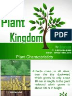 plantkingdom-130712004309-phpapp01