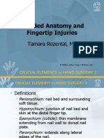 Nail Bed Anatomy and Fingertip Injuries Guide