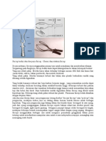 Types os Forcep.docx