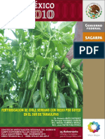 Chile Verde.pdf