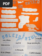 5ºB - Cartazes de Divulgação s