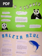 5ºC - Cartazes de Divulgação s