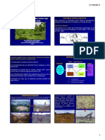 Sistema-Agroflorestal-Sistemas-Agroflorestais.pdf