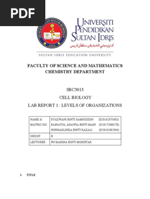 LAB REPORT 1.docx