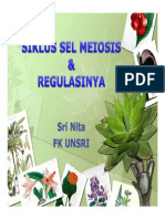 Sri Nita - Siklus Sel Meiosis & Regulasinya