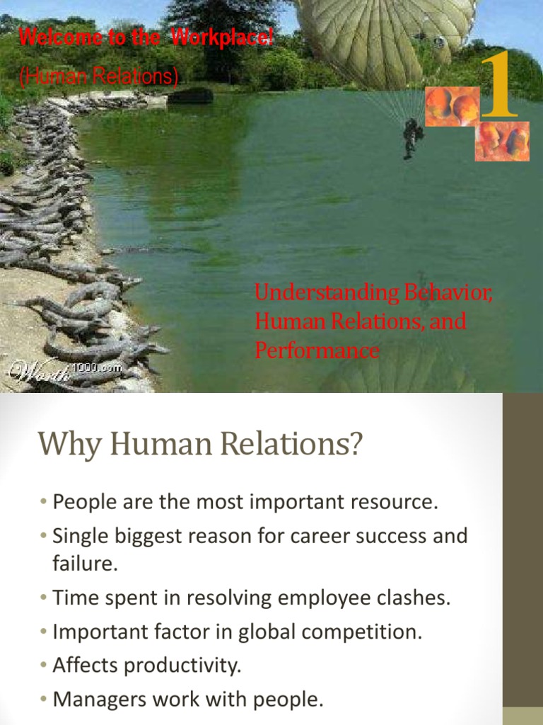 Human Relations in Organizational Behavior | PDF | Employment | Behavior