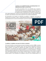 La pollinaza y gallinaza, un recurso para la ganadería y agricultura