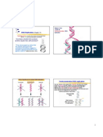 DNA Replication: How Does A Double Helix Produce Another Double Helix With Precision?