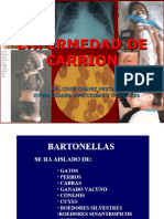 Enf de Carrion