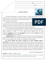 Interpretacao de Texto Ameaca de Extincao Tartarugas Marinhas 9º Ano Respostas