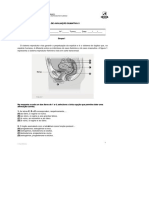 DocGo.Net-Trnsmissão de Vida e Sistema reprodutor.docx.pdf