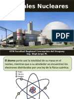 Centrales Nucleares Miguel Vogt