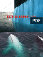 Fotos Especiais.